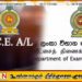 உயர்தரப் பரீட்சை தொடர்பில் பரீட்சைகள் திணைக்களத்தின் விசேட அறிவிப்பு