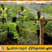 சிக்கலான விசாரணைகளைக் கையாள புதிய பொலிஸ் பிரிவு அறிமுகம்