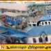 இலங்கை அரசின் நடவடிக்கைக்கு எதிர்ப்பு; காலவரையற்ற வேலை நிறுத்தப் போராட்டத்தில் இராமேஸ்வர மீனவர்கள்
