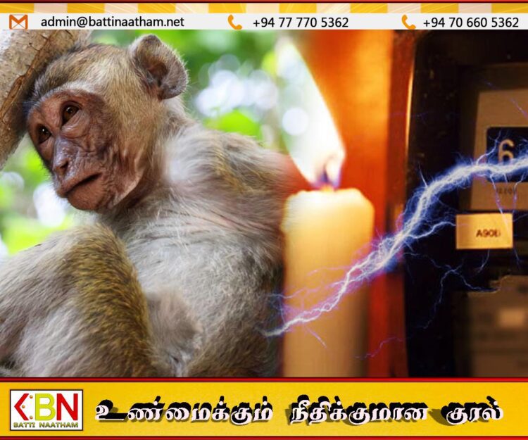 வெள்ளிக்கிழமை வரையிலும் நாடுமுழுவதும் குறுகிய மின்வெட்டு; அவசர நடவடிக்கை எடுக்கப்படாவிட்டால் அடிக்கடி மின்வெட்டு