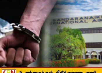 கட்டுநாயக்க விமான நிலையத்தில் சுமார் 2.5 மில்லியன் ரூபாய் விஸ்கி போத்தல்களுடன் ஒருவர் கைது