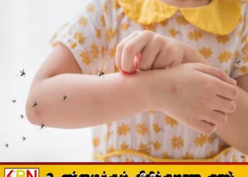 நாட்டில் குழந்தைகள் மற்றும் முதியவர்களிடம் சிக்குன்குனியா அறிகுறி
