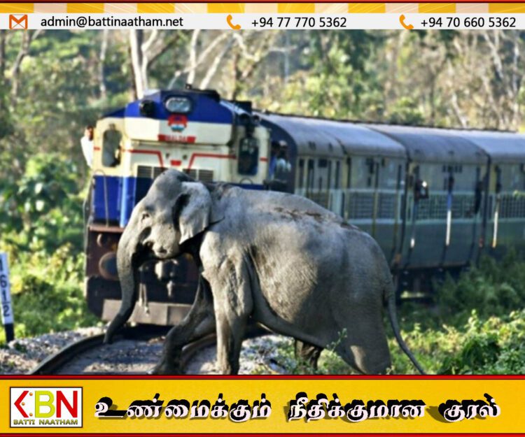ரயில்கள் யானைகள் மீது மோதுவதைத் தடுக்க செயற்கை நுண்ணறிவு தொழில்நுட்பம்