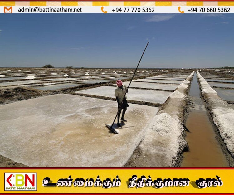 உப்பு அறுவடை மார்ச் மாதம்; பற்றாக்குறை ஏற்படாது என உறுதி