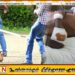 ஆரையம்பதி வாள்வெட்டு சம்பவம்; 4 பேருக்கு விளக்கமறியல்- இருவரை தேடும் பொலிஸார்