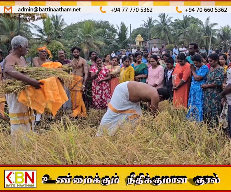 மட்டு கொத்துக்குளம் ஸ்ரீ முத்துமாரியம்மன் ஆலயத்தில் தைப்பூச விசேட வழிபாடுகள்