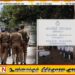 சம்மாந்துறையில் ஐஸ் போதைப்பொருளுடன் ஒருவர் கைது