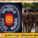 பொலிஸ் திணைக்களத்தின் புதிய படைப்பிரிவு; பொலிஸ் மா அதிபர் பிரியந்த வீரசூரிய தீர்மானம்