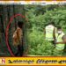 காட்டுப் பகுதியில் கண்டுபிடிக்கப்பட்ட சிறுவன்