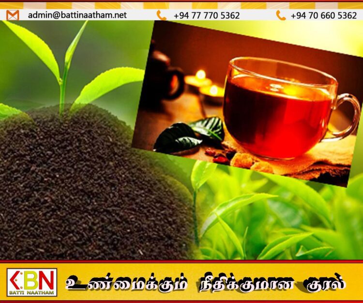 தேயிலை உற்பத்தியில் இலங்கையை முந்திய இந்தியா