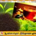 தேயிலை உற்பத்தியில் இலங்கையை முந்திய இந்தியா