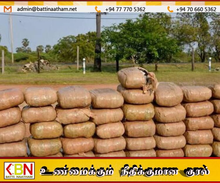 தலைமன்னார் கடலில் மிதந்து வந்த 49 மில்லியன் ரூபா பெறுமதியான கேரள கஞ்சா பொதிகள்