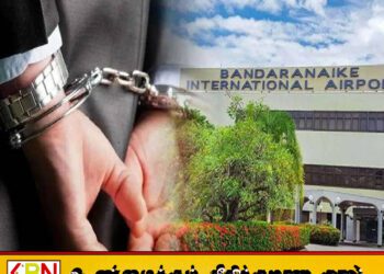 கட்டுநாயக்க விமான நிலையத்தில் வெளிநாட்டு சிகரட்டுகளுடன் சந்தேக நபர் ஒருவர் கைது
