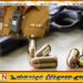 காரைதீவில் கைத்துப்பாக்கி திடீரென வெடித்ததில் காயமடைந்த பொலிஸ்