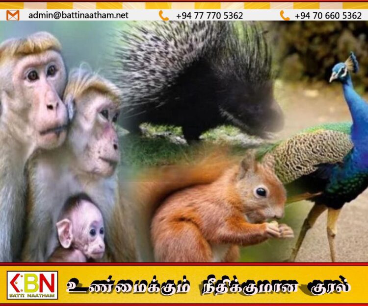 வனவிலங்குகள் பற்றிய கணக்கெடுப்பு அறிக்கை நாளை வௌியீடு!