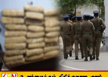 யாழில் 32 மில்லியன் ரூபா பெறுமதியான கேரள கஞ்சா மீட்பு