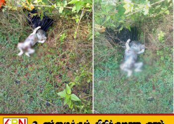 மட்டு சந்திவெளியில் காட்டு பகுதியில் வீசிய நிலையில் ஆண் குழந்தையின் சடலம் மீட்பு