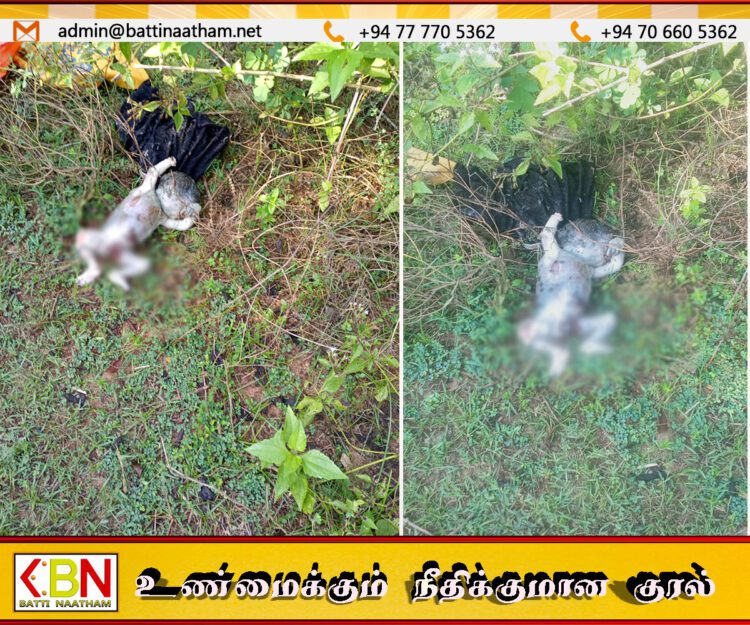 மட்டு சந்திவெளியில் காட்டு பகுதியில் வீசிய நிலையில் ஆண் குழந்தையின் சடலம் மீட்பு