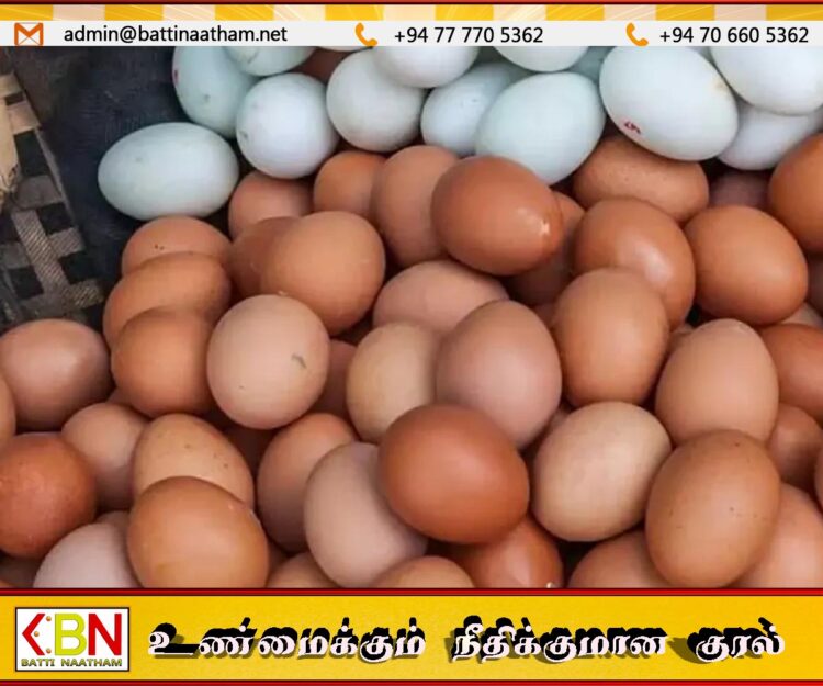 முட்டை விலை குறித்து வெளியான தகவல்