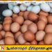 முட்டை விலை குறித்து வெளியான தகவல்