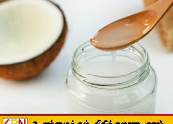 வெளிநாடுகளில் அகற்றப்படும் கழிவு தேங்காய் எண்ணெய் இலங்கை சந்தையில் விற்பனை; பேராசிரியர் நிலந்த லியனகே தெரிவிப்பு