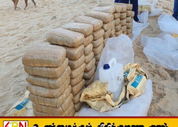 யாழில் 300 கிலோவிற்கும் அதிகமான பெருந்தொகை கஞ்சா பறிமுதல்