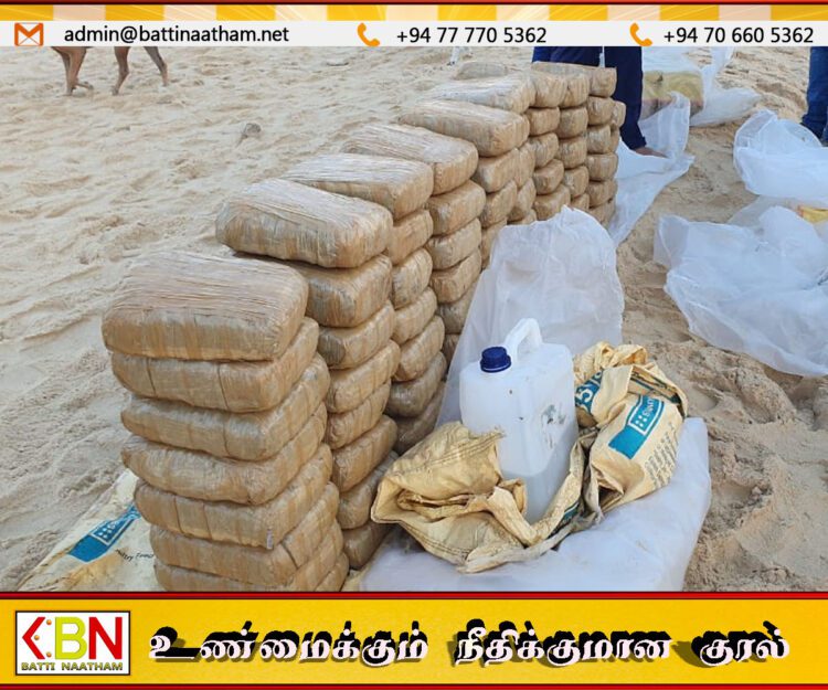 யாழில் 300 கிலோவிற்கும் அதிகமான பெருந்தொகை கஞ்சா பறிமுதல்