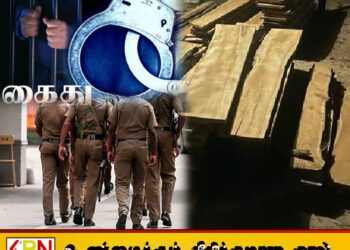 அம்பாறையில் சட்டவிரோதமாக தேக்கு மரப் பலகைகளை கடத்தி வந்தவர்கள் கைது