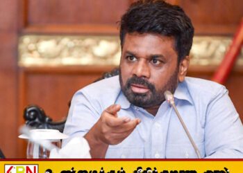 அதானி ஒப்பந்தம் தொடர்பில் ஜனாதிபதி வெளியிட்டுள்ள தீர்மானம்