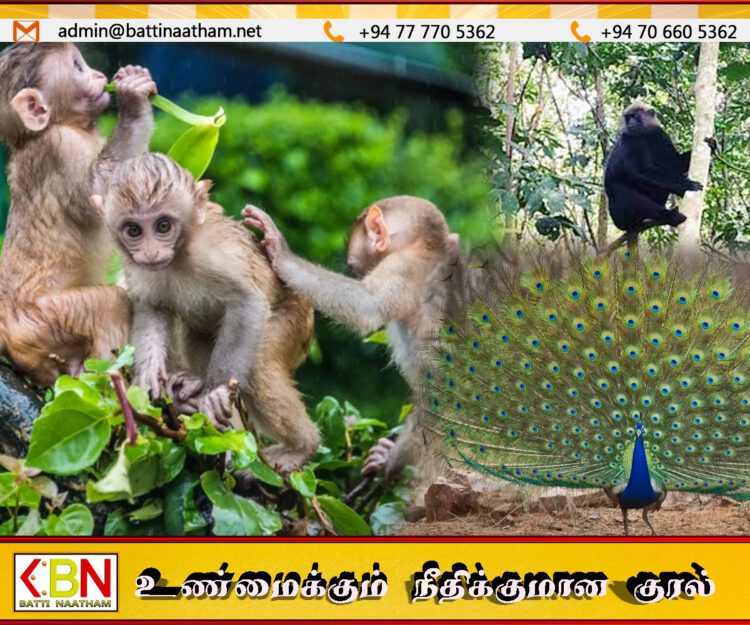வனவிலங்கு கணக்கெடுப்பு மேற்கொள்வதற்கான படிவங்கள் கிராம அலுவலர் ஊடாக விநியோகம்