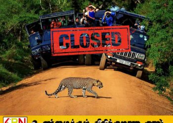 மழையுடனான காலநிலை காரணமாக இன்று முதல் மூடப்படும் யால தேசிய பூங்கா