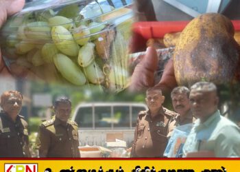 அம்பாறையில் பழுதடைந்த பழங்களை விற்பனை செய்தவர்களுக்கு எதிராக எடுக்கப்பட்ட சட்ட நடவடிக்கை