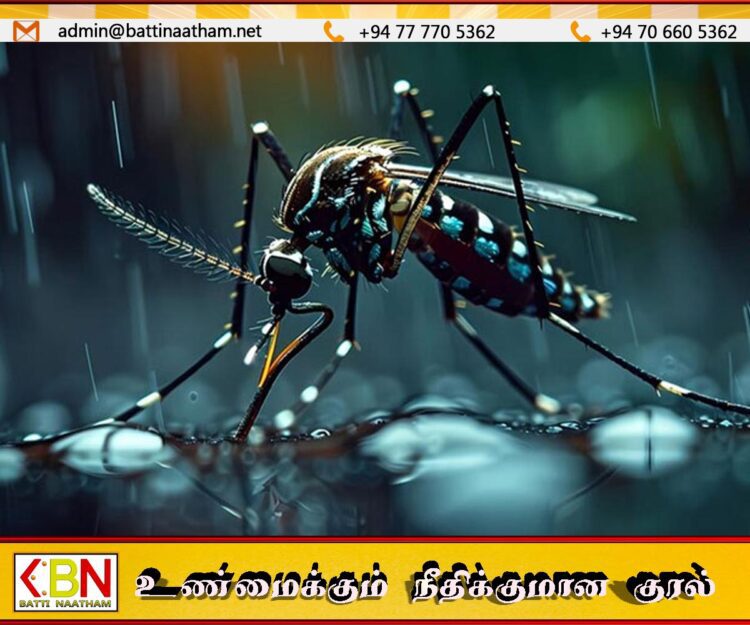 இவ் ஆண்டு இதுவரை 11,000க்கும் மேற்பட்ட டெங்கு நோயாளர்கள் பதிவு