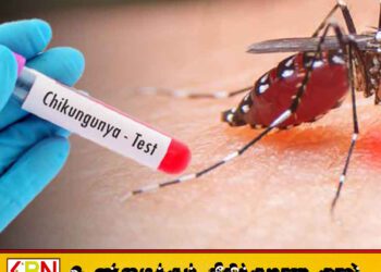 இலங்கையில் வேகமாகப் பரவி வரும் சிக்குன்குனியா நோய்