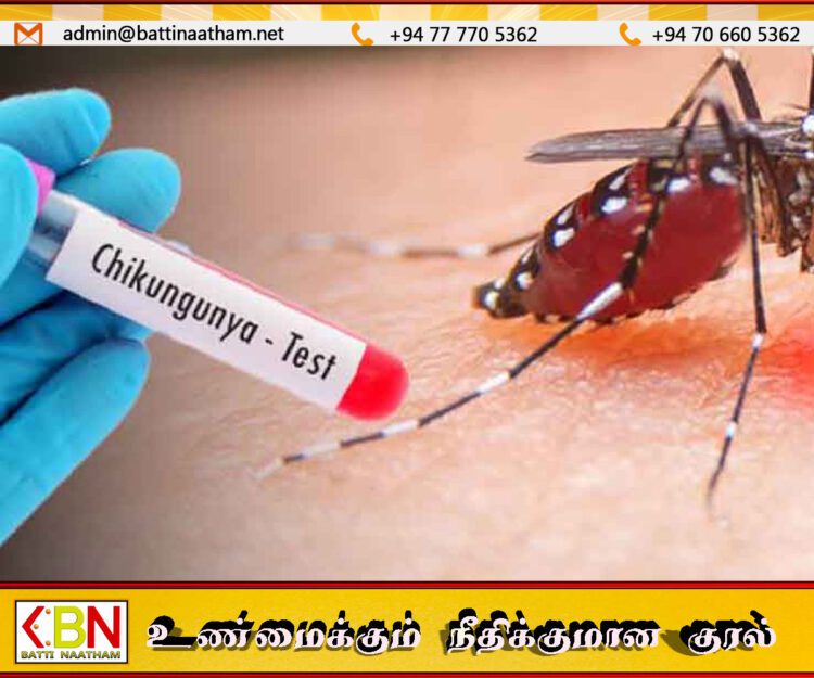 இலங்கையில் வேகமாகப் பரவி வரும் சிக்குன்குனியா நோய்