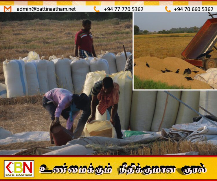 மீண்டும் ஆரம்பிக்கப்பட்ட பெரும்போக வேளாண்மை அறுவடை பணிகள்
