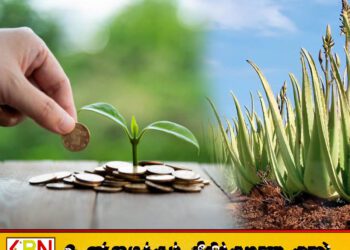 மரங்கள் நடுவதன் மூலம் பணம் சம்பாதிக்கலாம் என விளம்பரம்; இலங்கை மத்திய வங்கியின் எச்சரிக்கை