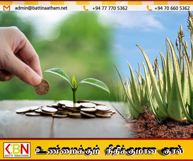 மரங்கள் நடுவதன் மூலம் பணம் சம்பாதிக்கலாம் என விளம்பரம்; இலங்கை மத்திய வங்கியின் எச்சரிக்கை