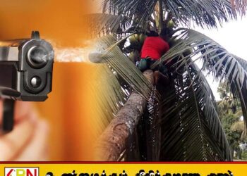 தேங்காய் திருடச் சென்ற இளைஞன் மீது துப்பாக்கிச் சூடு