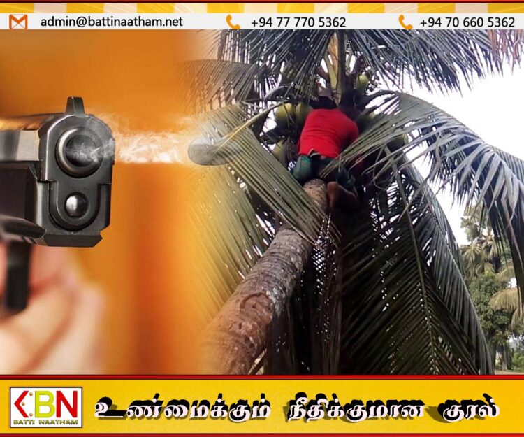 தேங்காய் திருடச் சென்ற இளைஞன் மீது துப்பாக்கிச் சூடு