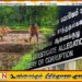 விவசாயி ஒருவரிடம் இலஞ்சம் வாங்கிய கமநல அபிவிருத்தி திணைக்கள உத்தியோகத்தர் கைது; சித்தாண்டியில் சம்பவம்
