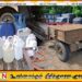காத்தான்குடி பொலிஸ் பிரிவில் அதிரடியாக 42 பேர் கைது