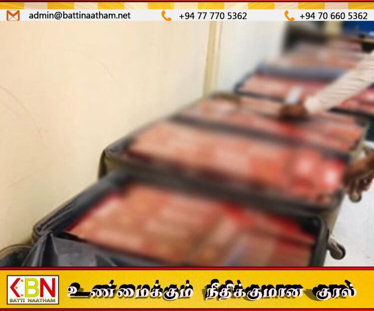கட்டுநாயக்க விமான நிலையத்தில் சுங்க அதிகாரி உட்பட மூவர் கைது