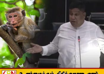 குரங்குகளை எண்ண நாடாளுமன்றத்தில் விடுமுறை கோரிய சாமர சம்பத்