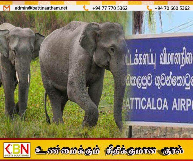 மட்டக்களப்பு விமான நிலைய காணிக்குள் சற்றுமுன்னர் நுழைந்த யானைகள்
