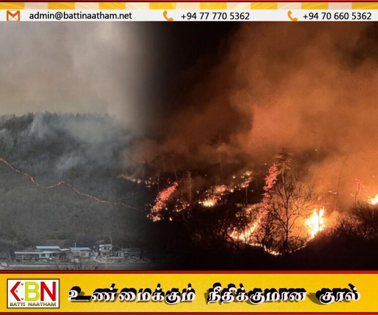 தென் கொரியாவில் காட்டுத் தீ; இலங்கைத் தூதரகத்தின் அறிவிப்பு