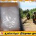 கல்முனையில் 450 மில்லிகிராம் ஐஸ் போதைப்பொருளுடன் ஒருவர் கைது