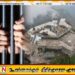 சிவனொளிபாத மலையை தரிசிக்க வந்த 14 பேர் போதைப்பொருட்களுடன் கைது