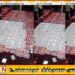 காத்தான்குடியில் 3,492 போதை மாத்திரைகளுடன் ஒருவர் கைது