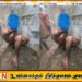அக்கரைப்பற்றில் திருடன்; நையப்புடைத்து பொலிஸாரிடம் ஒப்படைத்த பொதுமக்கள்